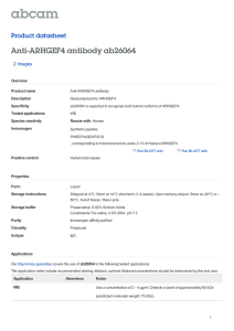 Anti-ARHGEF4 antibody ab26064 Product datasheet 2 Images Overview
