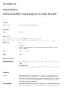 Angiotensin Converting Enzyme 2 peptide ab41282 Product datasheet Overview Product name