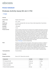 Protease Activity Assay Kit ab111750 Product datasheet 2 Images Overview