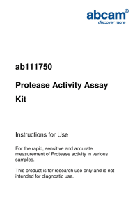 ab111750 Protease Activity Assay Kit