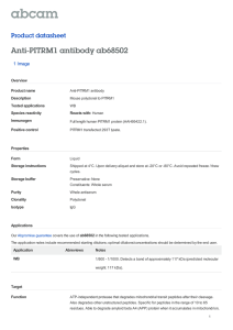 Anti-PITRM1 antibody ab68502 Product datasheet 1 Image