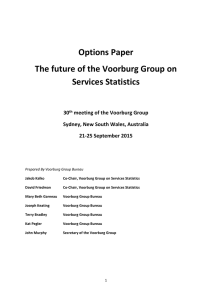 Options Paper The future of the Voorburg Group on Services Statistics