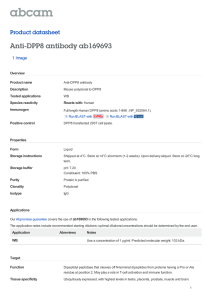 Anti-DPP8 antibody ab169693 Product datasheet 1 Image Overview
