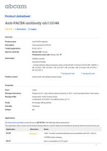 Anti-PACE4 antibody ab110144 Product datasheet 1 Abreviews 3 Images