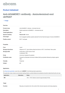 Anti-ADAMDEC1 antibody - Aminoterminal end ab95267 Product datasheet 1 Image