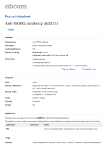 Anti-RANKL antibody ab22113 Product datasheet 1 Image