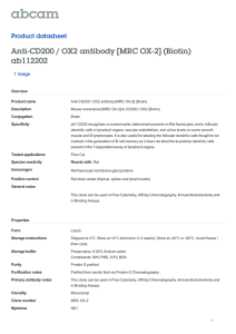 Anti-CD200 / OX2 antibody [MRC OX-2] (Biotin) ab112202