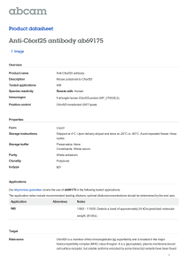 Anti-C6orf25 antibody ab69175 Product datasheet 1 Image Overview