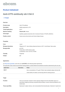 Anti-LY75 antibody ab115613 Product datasheet 2 Images Overview