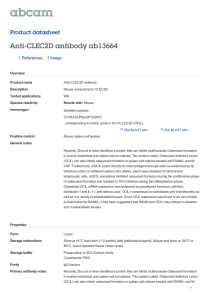Anti-CLEC2D antibody ab13664 Product datasheet 1 References 1 Image