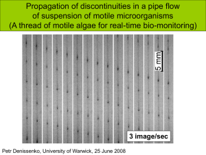 Propagation of discontinuities in a pipe flow