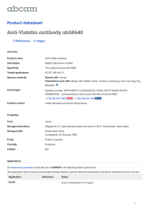 Anti-Visfatin antibody ab58640 Product datasheet 2 References 3 Images
