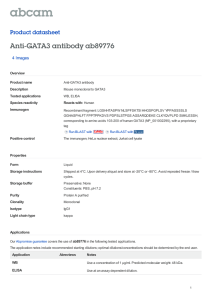 Anti-GATA3 antibody ab89776 Product datasheet 4 Images Overview
