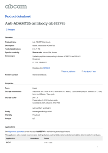 Anti-ADAMTS5 antibody ab182795 Product datasheet 2 Images Overview