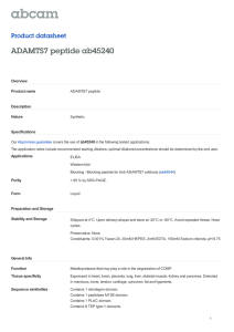 ADAMTS7 peptide ab45240 Product datasheet Overview Product name