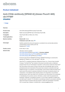 Anti-CD46 antibody [EPR4014] (Alexa Fluor® 488) ab197489