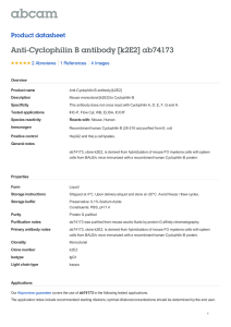 Anti-Cyclophilin B antibody [k2E2] ab74173 Product datasheet 2 Abreviews 4 Images