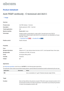 Anti-TIGIT antibody - C-terminal ab136311 Product datasheet 1 Image Overview