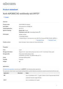 Anti-APOBEC3G antibody ab109727 Product datasheet 3 Images