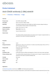 Anti-CD62E antibody [1.2B6] ab6630 Product datasheet 3 Abreviews 1 Image