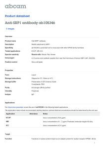 Anti-SRP1 antibody ab105346 Product datasheet 3 Images Overview