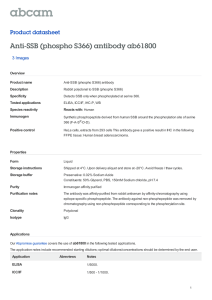 Anti-SSB (phospho S366) antibody ab61800 Product datasheet 3 Images Overview