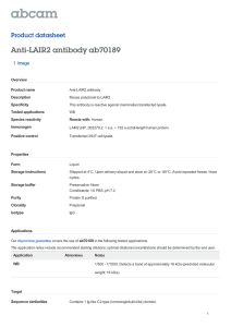 Anti-LAIR2 antibody ab70189 Product datasheet 1 Image Overview