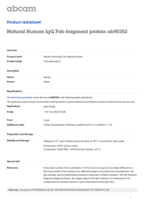 Natural Human IgG Fab fragment protein ab90352 Product datasheet Overview Product name