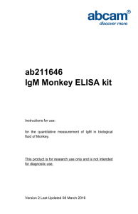 ab211646 IgM Monkey ELISA kit