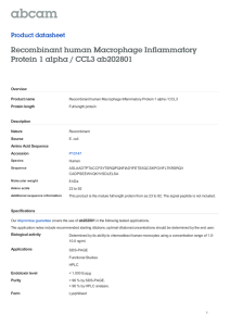 Recombinant human Macrophage Inflammatory Protein 1 alpha / CCL3 ab202801
