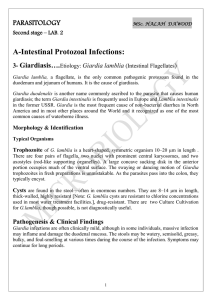 A-Intestinal Protozoal Infections: OLOGY PARASIT