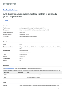 Anti-Macrophage Inflammatory Protein 3 antibody [ANT121] ab26268