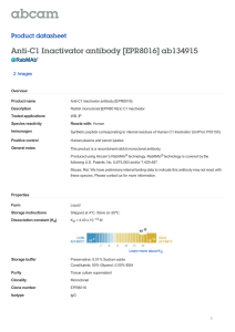 Anti-C1 Inactivator antibody [EPR8016] ab134915 Product datasheet 2 Images Overview