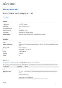 Anti-CFHL1 antibody ab67190 Product datasheet 2 Images