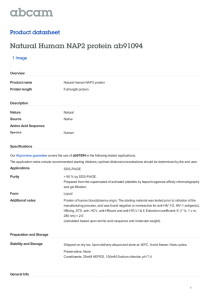 Natural Human NAP2 protein ab91094 Product datasheet 1 Image Overview