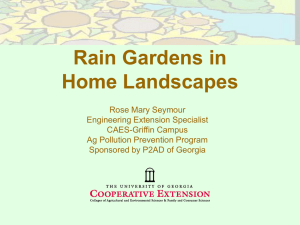Rain Gardens in Home Landscapes