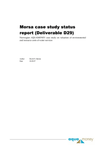 Morsa case study status report (Deliverable D29) 