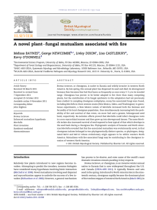 efungal mutualism associated with fire A novel plant BAYNES ,