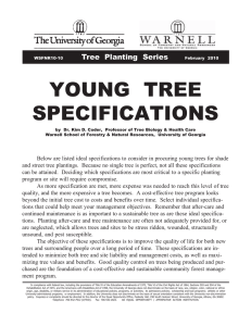 YOUNG  TREE SPECIFICATIONS Tree  Planting  Series