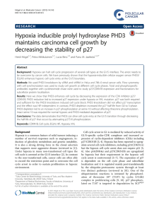 Hypoxia inducible prolyl hydroxylase PHD3 maintains carcinoma cell growth by