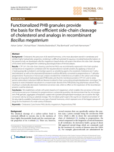 Functionalized PHB granules provide the basis for the efficient side-chain cleavage