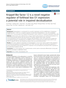 Krüppel-like factor 12 is a novel negative