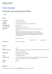 Anti-CD3 zeta antibody ab190728 Product datasheet 1 Image Overview
