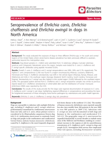 Seroprevalence of Ehrlichia canis, Ehrlichia North America