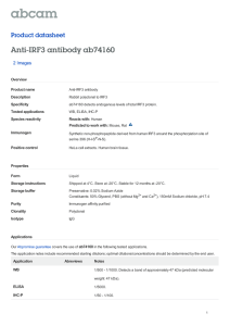 Anti-IRF3 antibody ab74160 Product datasheet 2 Images Overview
