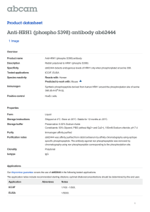 Anti-HRH1 (phospho S398) antibody ab62444 Product datasheet 1 Image Overview