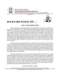 BACKYARD FLOCK TIP . . . Cooperative Extension Service EGG LAYING BEHAVIOR