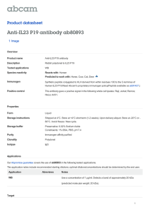 Anti-IL23 P19 antibody ab80893 Product datasheet 1 Image