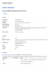 Anti-IL28B antibody ab181411 Product datasheet 2 Images Overview