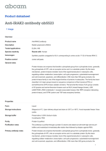 Anti-IRAK2 antibody ab5523 Product datasheet 1 Image Overview